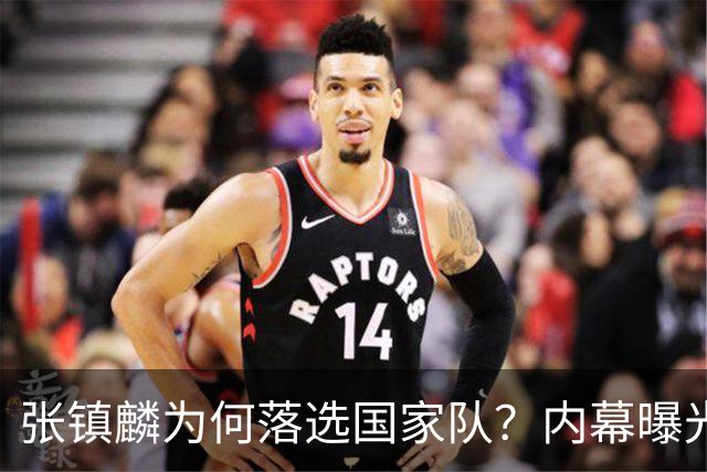 张镇麟为何落选国家队？内幕曝光，叫人心疼，郭士强并没放弃他